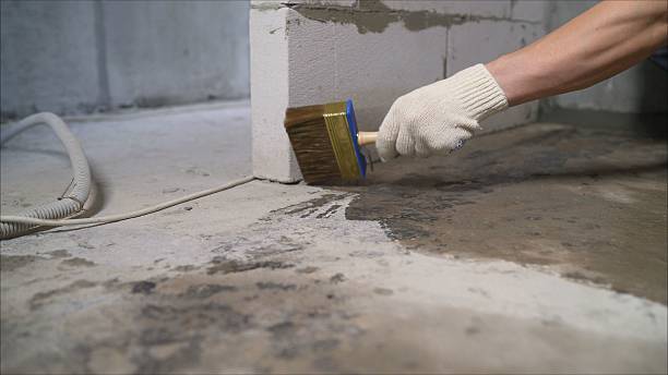 24/7 Emergency Crawl Space Encapsulation experts in Dayton, NJ